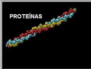 MACROMOLECULA,POLIMEROS Y MONOMEROS