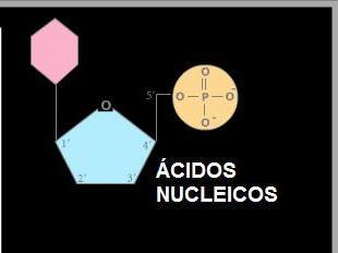 MACROMOLECULA,POLIMEROS Y MONOMEROS