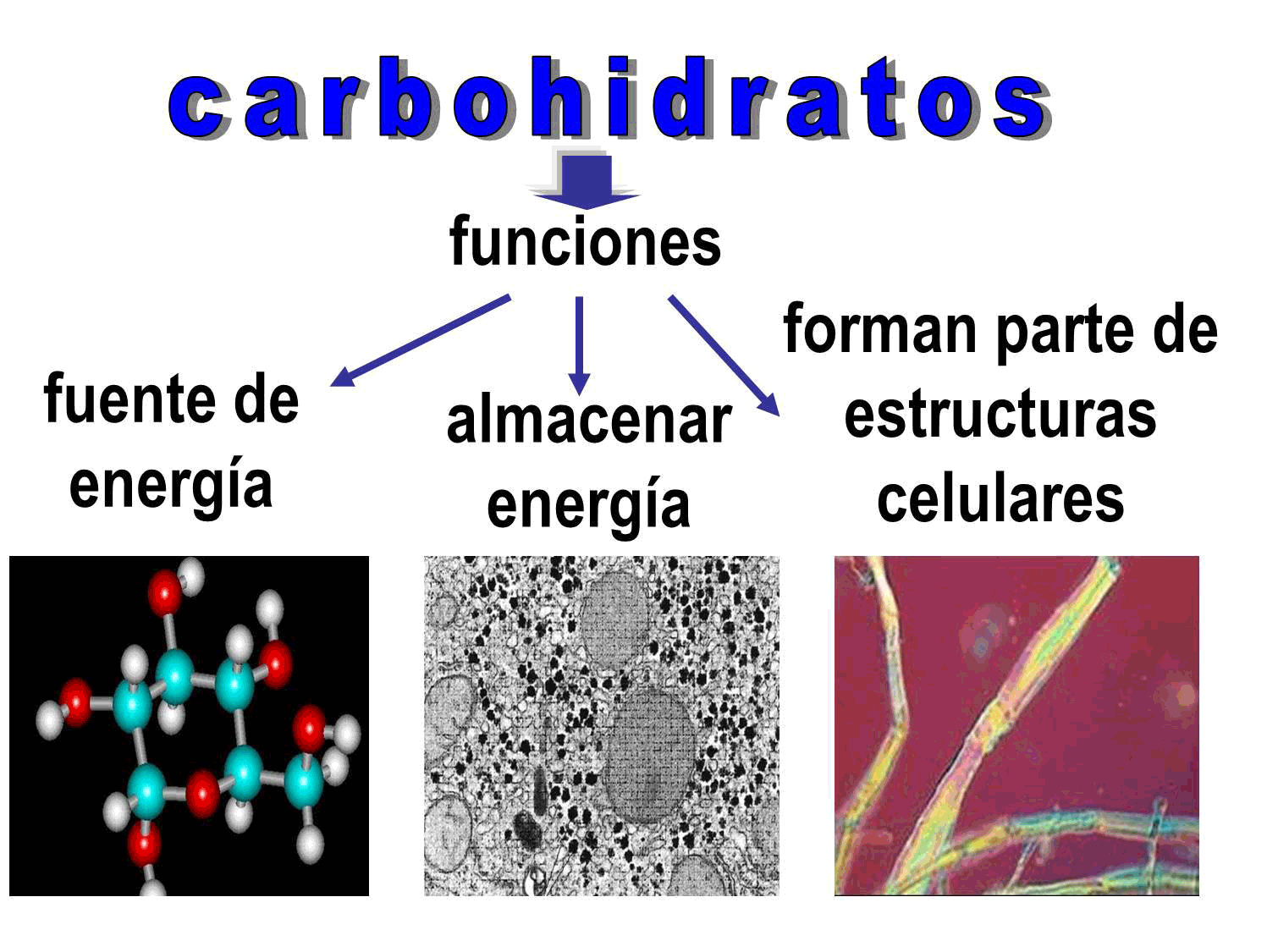 MACROMOLECULA,POLIMEROS Y MONOMEROS