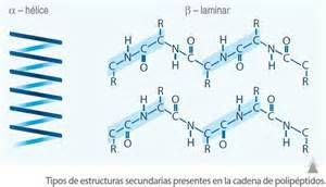MACROMOLECULA,POLIMEROS Y MONOMEROS