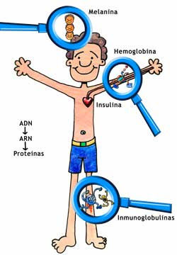 MACROMOLECULA,POLIMEROS Y MONOMEROS