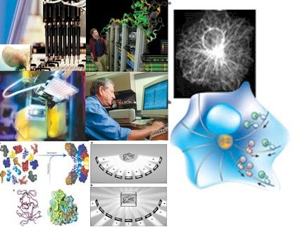 GENERALIDADES DE LA BIOFISCA
