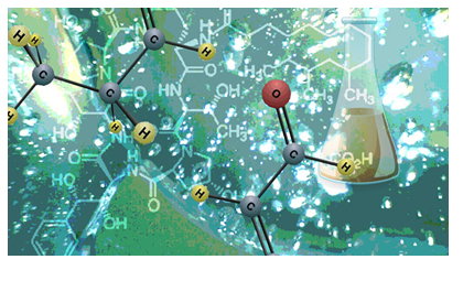 GENERALIDADES DE LA BIOFISCA