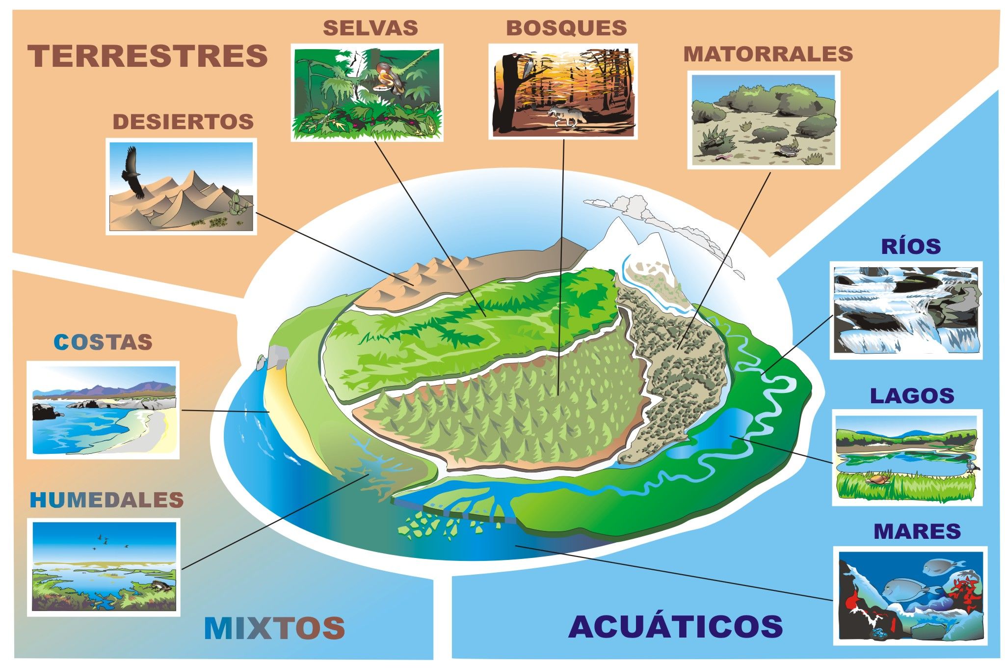 EDUCACIÓN PARA EL MEDIO AMBIENTE.ok