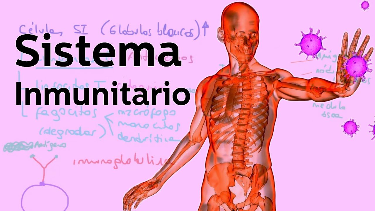 inmunologia