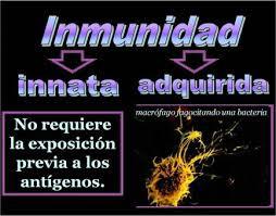 inmunologia