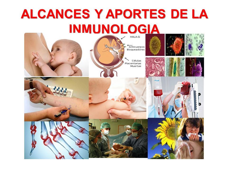 inmunologia