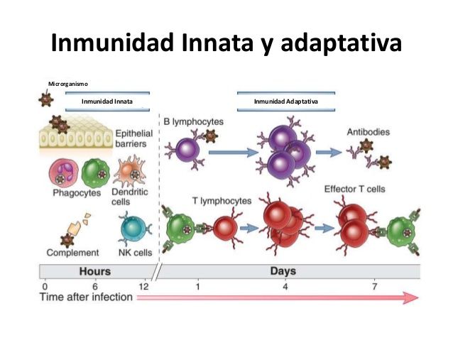 inmunologia