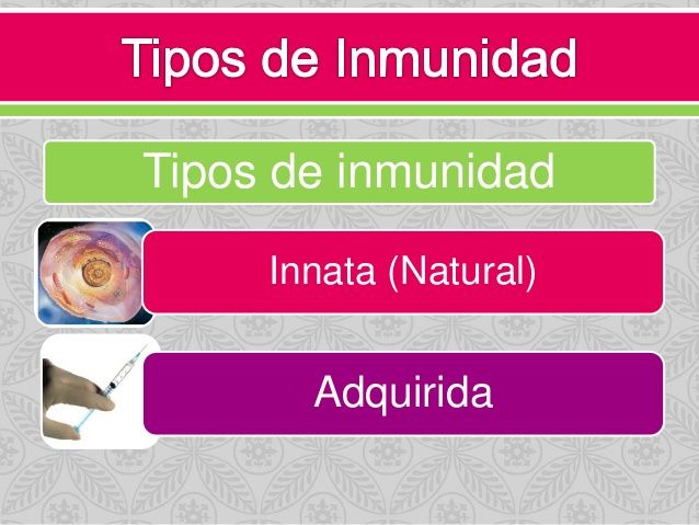 inmunologia