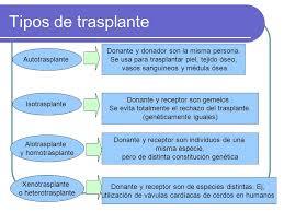 inmunologia