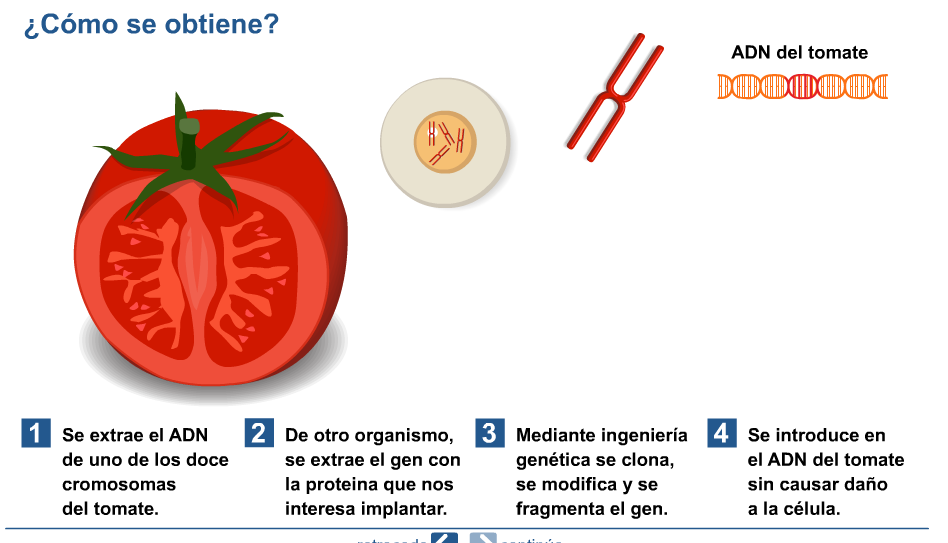 Ingenieria Genetica.