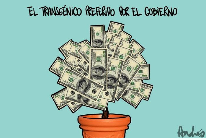 Ingenieria Genetica.