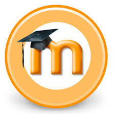 MI PLE