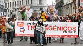 ingenieria genetica..