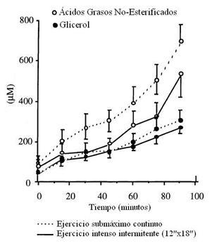 Metabolismo de la fibra muscular.Ejercicio aerobio y ejercicio anaerobio.Tipos de fibras musculares