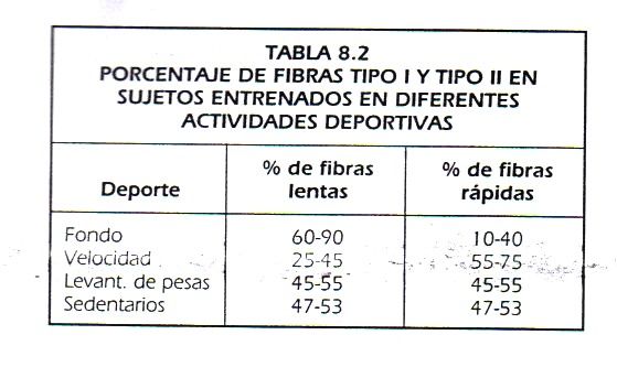 Metabolismo de la fibra muscular.Ejercicio aerobio y ejercicio anaerobio.Tipos de fibras musculares
