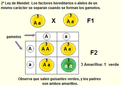 UNIDAD 5.
