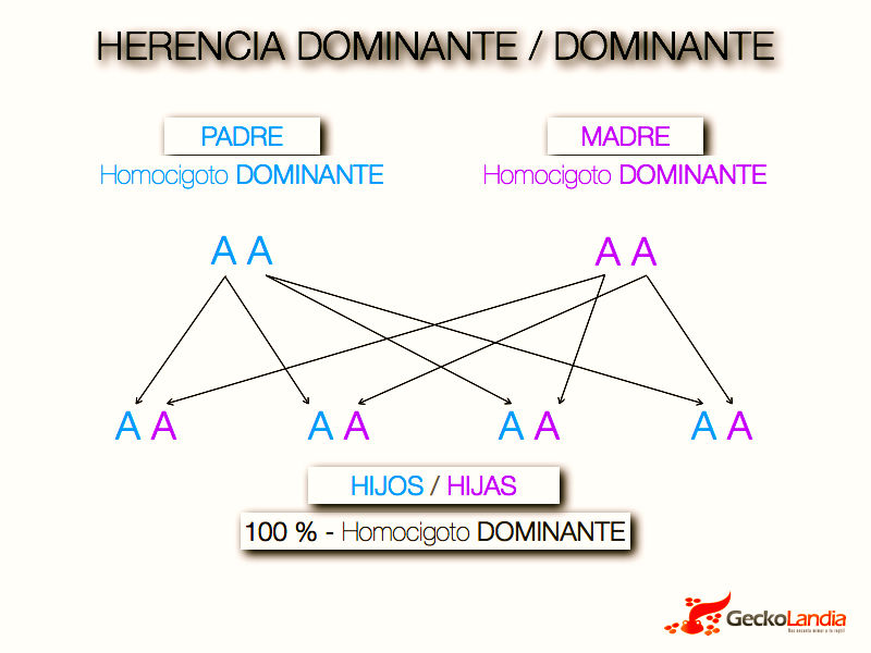 UNIDAD 5.