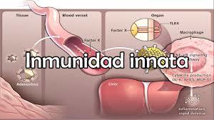 Inmunologia