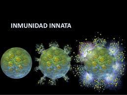 Inmunologia