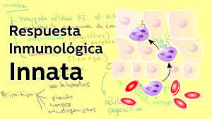 Inmunologia
