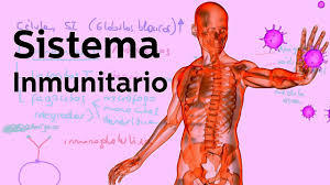 Inmunologia