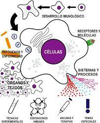 Inmunologia