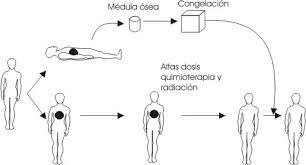 Inmunologia