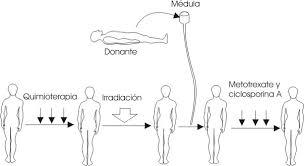 Inmunologia