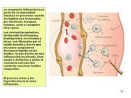 INMUNOLOGIA 5E