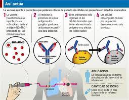 INMUNOLOGIA 5E