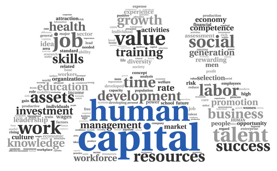 Capital humano en la empresa