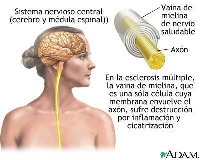 BIOLOGIA