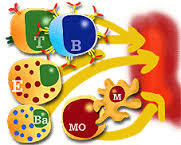 imunologia
