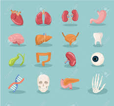 imunologia
