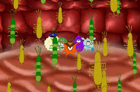 Biologia Molecular 5°D