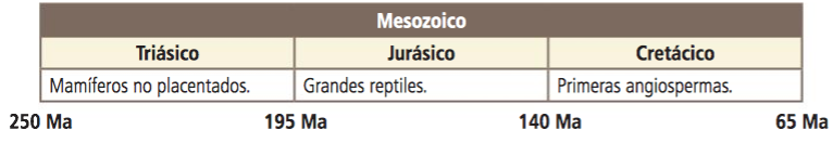EL TIEMPO GEOLÓGICO