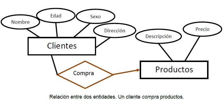 Componentes Entidad Realcion