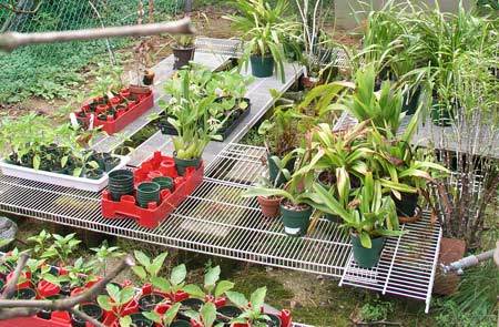 outside play garden
