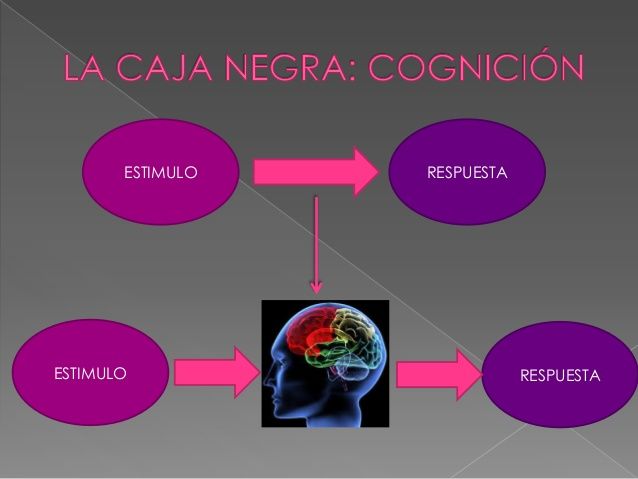 PARADIGMA COGNITIVISTA