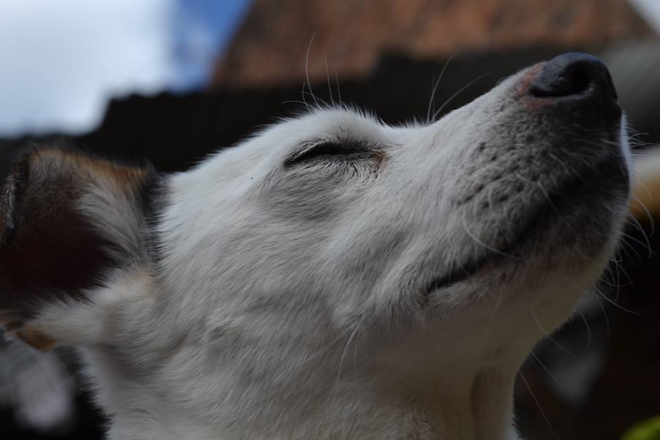 MI ENTORNO PERSONAL DE APRENDIZAJE ORIENTADO A FOTOGRAFIA