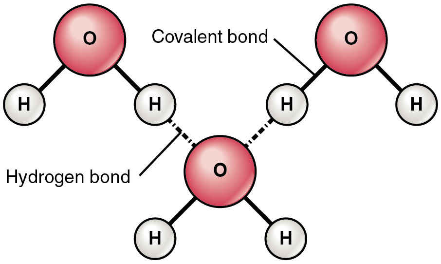 Chemistry Pack 6