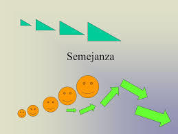 Percepción Social y Cognición Social