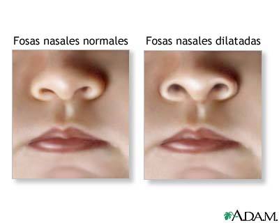 Aparato digestivo y respiratorio