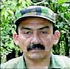 FUERZAS ARMADAS REVOLUCIONARIAS DE COLOMBIA (F.A.R.C)