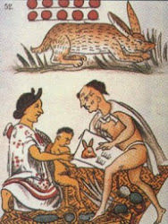 Historia de la educación en México hasta nuestros días.