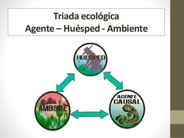 Triada ecologica Agente, Medio Ambiente y Huespet