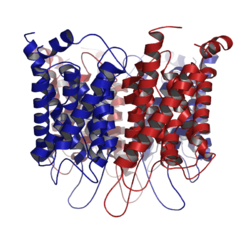 Parto: Proceso biomolecular y Fisiológico