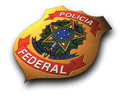 ESTATUTO DO DESARMAMENTO - PORTE ATRIBUIÇÃO PARA EXPEDIÇÃO.