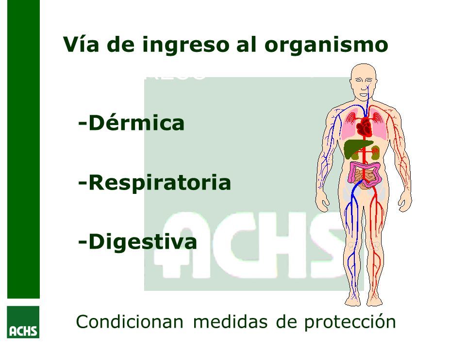 PRINCIPALES VÍAS DE INGRESO DE LAS SUSTANCIAS QUÍMICAS